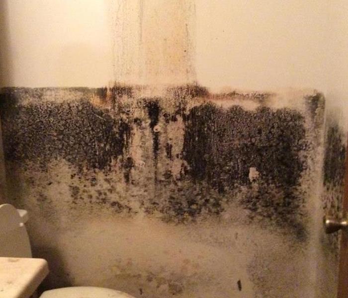 A white bathroom with mold growing on the walls beside the toilet and door.