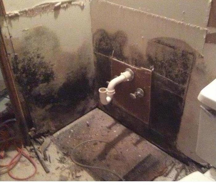 Concrete walls in a bathroom with mold forming around a white pipe.