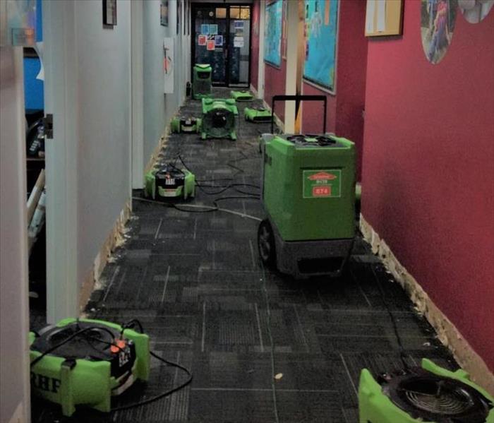 A red hallway, with green air movers and dehus set up and plugged in drying the gray carpet and white baseboards