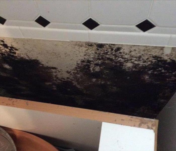A black and white tile kitchen wall with mold growing where a cabinet was removed.